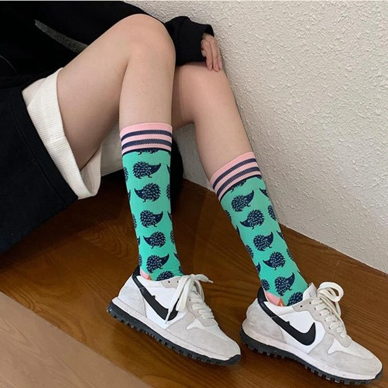 Calcetines coloridos de moda para primavera y otoño para mujer, calcetines de algodón con diseño de erizo y perezoso, calcetines rectos con personalidad a la moda