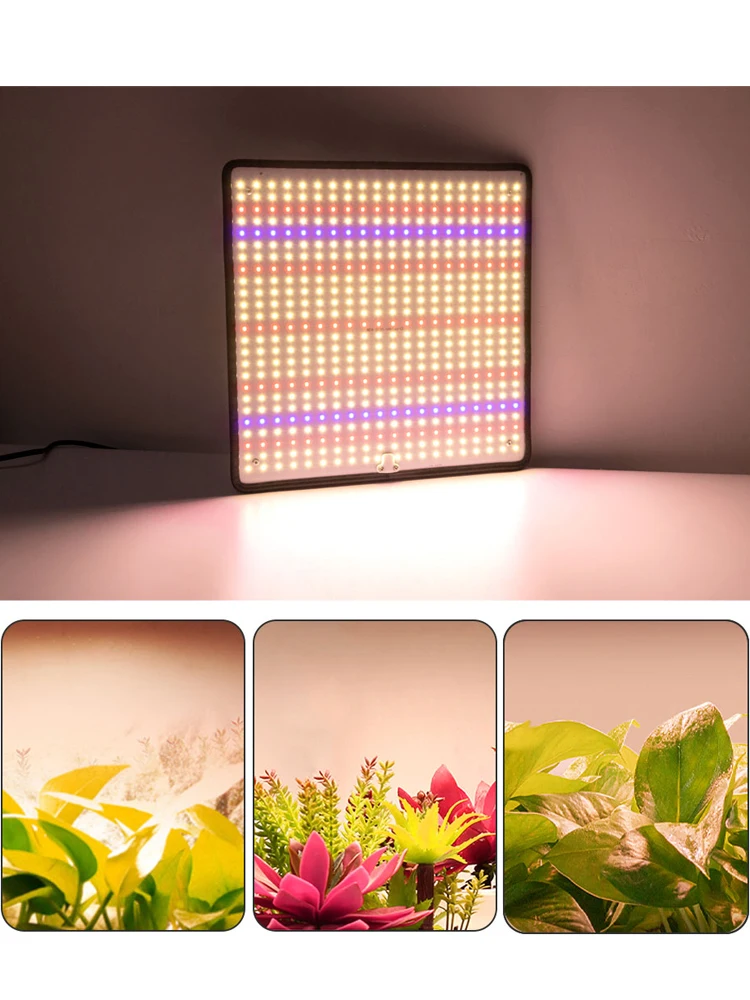 เต็นท์สำหรับปลูกพืชในร่มแผงควอนตัม LED ซัมซุงไฟเติบโตเต็มสเปกตรัมสำหรับพืชเติบโตในร่มไฟ1200วัตต์