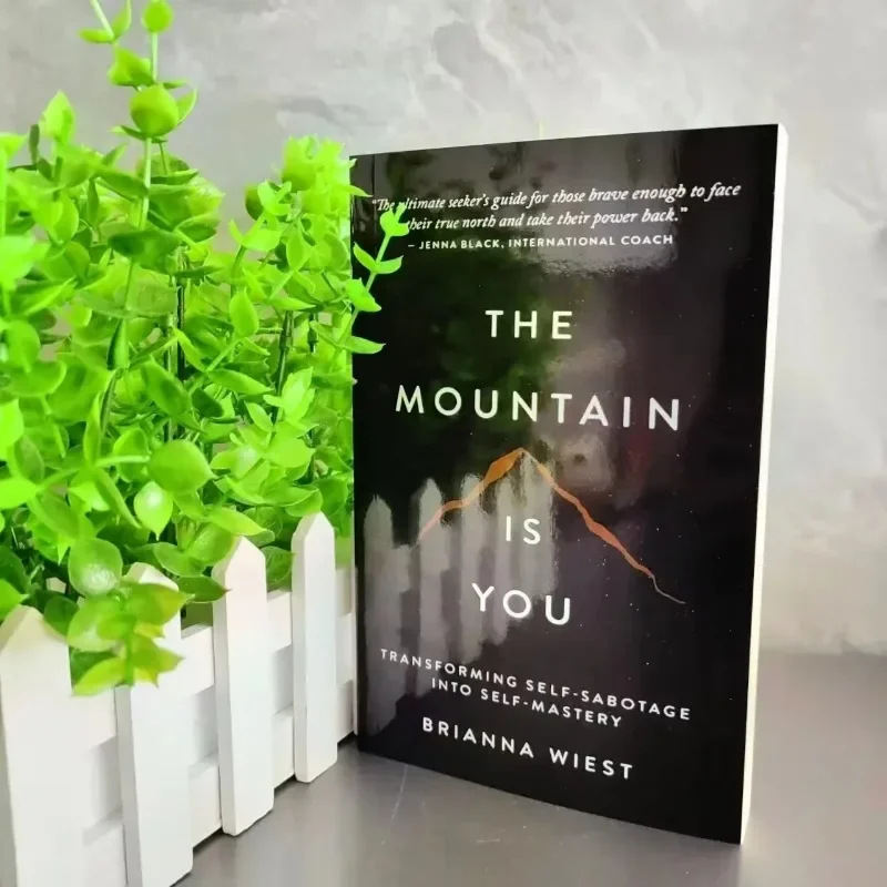 The Mountain Is You: Transforming Self-Sabotage in Self-Mastery Englisch Bücher Geburtstagsgeschenke
