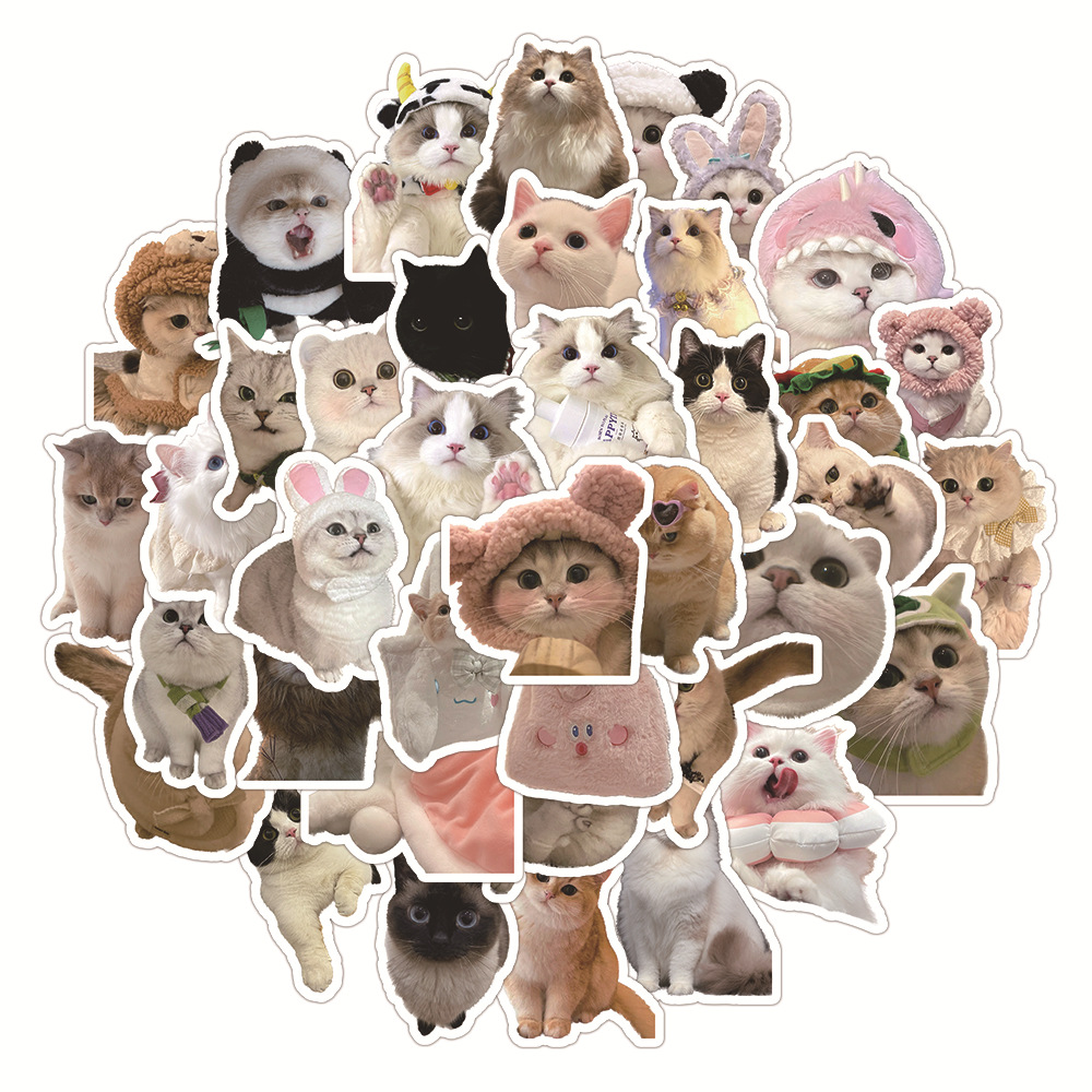 สติกเกอร์กราฟฟิตีรูปแมวเหมือนจริง60ชิ้นเคสโทรศัพท์ลายแมวน่ารักสติกเกอร์ตกแต่ง DIY
