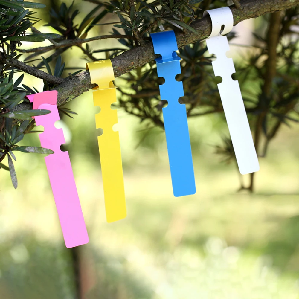 100PCS PVC กันน้ําแหวนสําหรับดอกไม้ป้าย,ต้นกล้า,กล้วยไม้,สวนดอกไม้ Markers,ป้ายพลาสติก