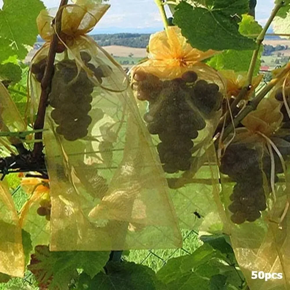 50 pçs sacos de proteção de frutas anti-pássaros sacos de rede de jardim morango uvas saco de malha planta vegetal rede capa ferramenta de jardim
