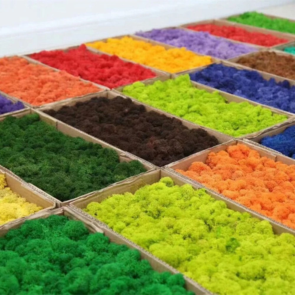 Künstliche grüne Pflanzen, Mini-Landschaft, ewiges Leben, Moosgras, gefälschtes Gras, DIY-Handwerk, Garten, Zuhause, Wohnzimmer, Dekoration