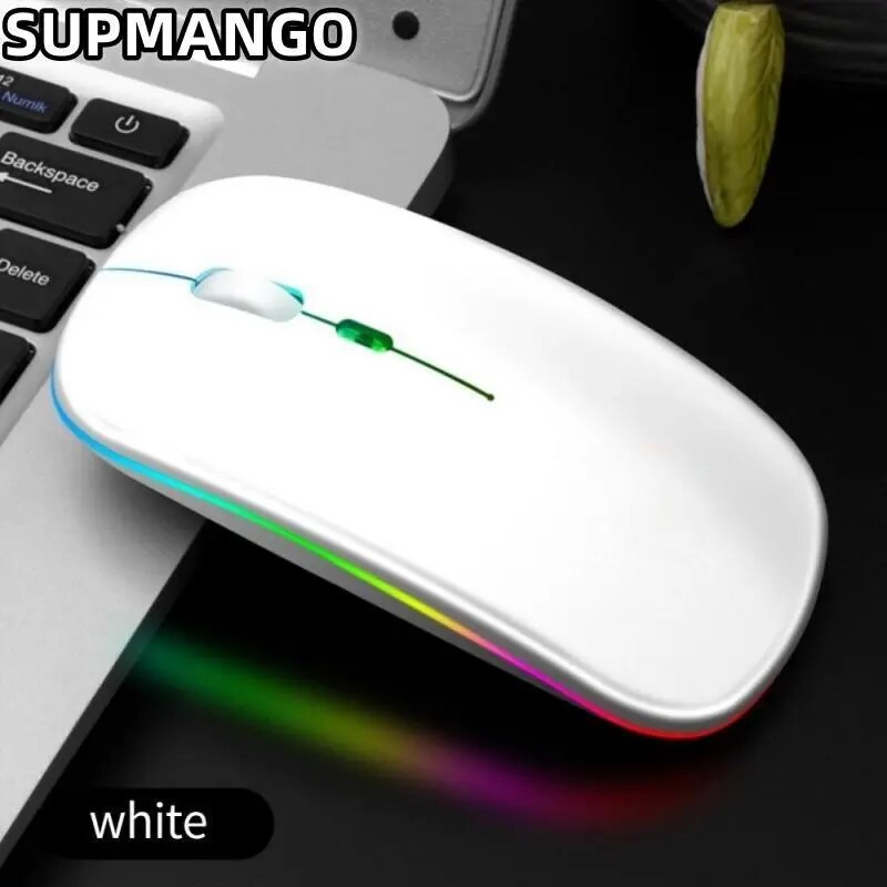 Rato Gaming Recarregável Sem Fio, Ergonômico Portátil, Silencioso, Mágico, Adequado para Computadores Portáteis, Tablets, IPAD, Telefone, 2.4G