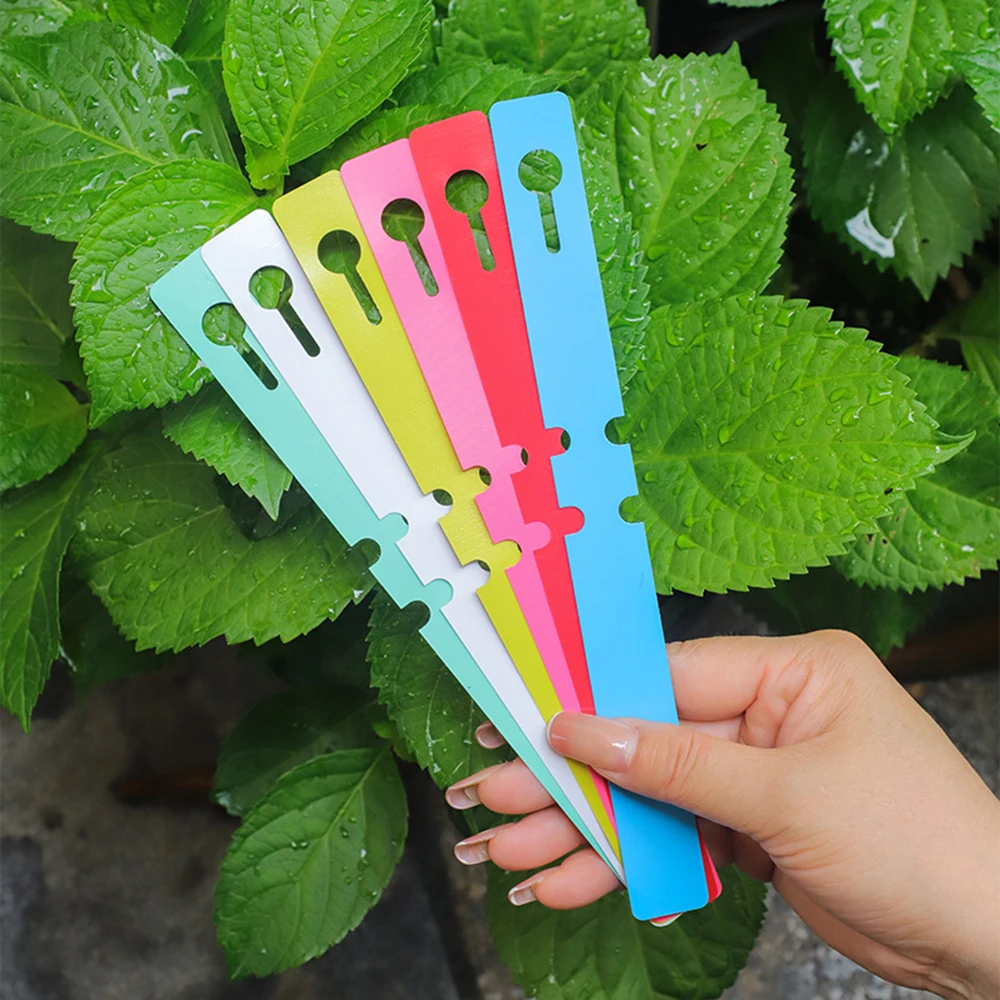 꽃 식물 라벨, 묘목, 난초, 정원 꽃 마커, 플라스틱 간판에 대 한 100PCS Pvc 방수 반지