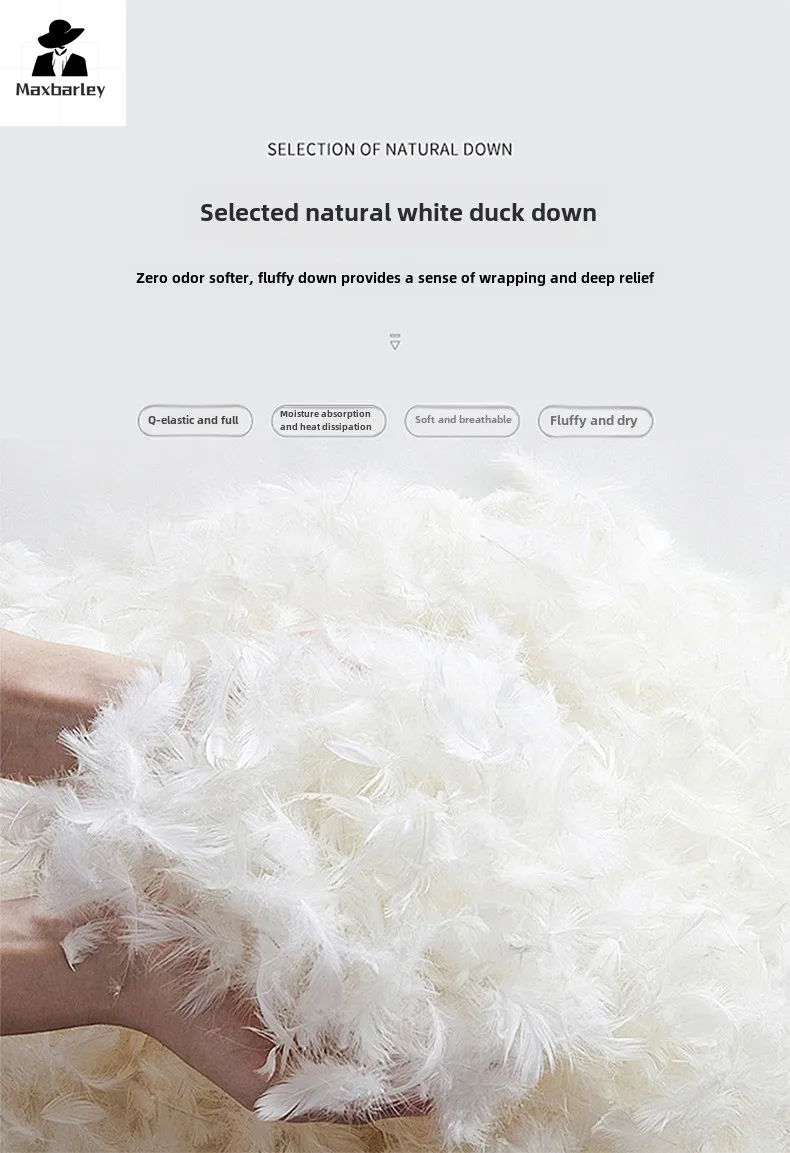 2024 Winter Verdickte Gans Unten Jacke Herrenmode Luxus Leichte Abnehmbare Hut Warme Mantel Marke männer Kurze Puffer jacke