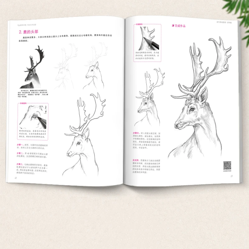 Basic Sketching Tutorial Book Plant Animal Scenery Figure Facial Sketch Textbook Zero Based Self Study Sketch Skill Detail Books