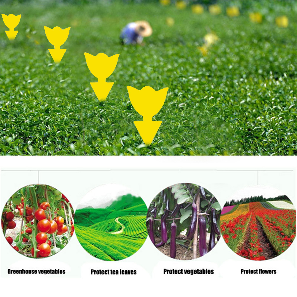 50-10Pcs Sticky Traps Fruit Fly Trap Yellow Sticky Bug Trap for Indoor Outdoor Use Insect Pest Control Garden Strong Glue Plant
