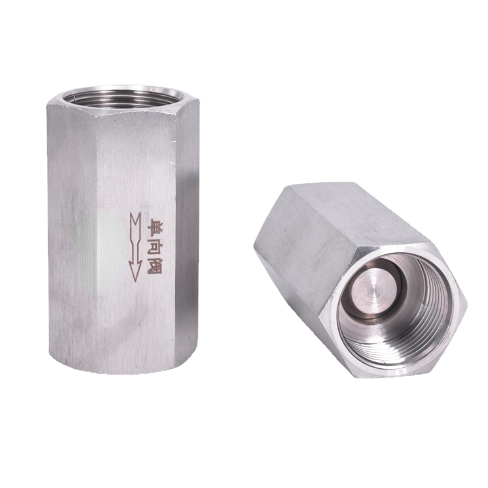 1/8 "1/4" 3/8 "1/2" 3/4 "1" BSP Dây Chuyền NPT Nữ Nam Lục Giác Một Cách Kiểm Tra van Không Trở Về Nội Tuyến Thép Không Gỉ 304