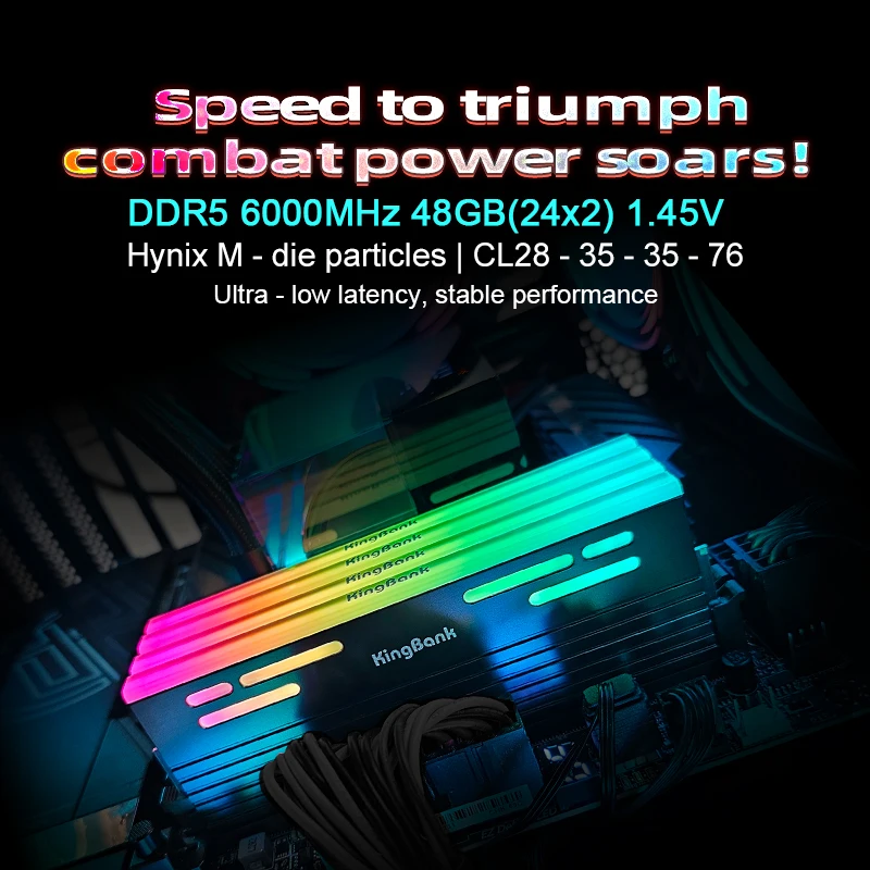 KingBank Memoria RAM DDR5 6000MHz 24GBx2 Gaming Desktop Memory Ram 288Pin DIMM DDR5 RAM XMP 3.0 Black RGB Ram Hynix M die CL28