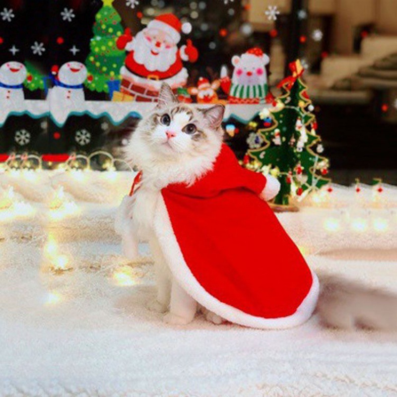 Disfraz de Papá Noel para gato y perro, capa de Navidad transformada, ropa de vestir, bufanda roja, capa, accesorios de decoración