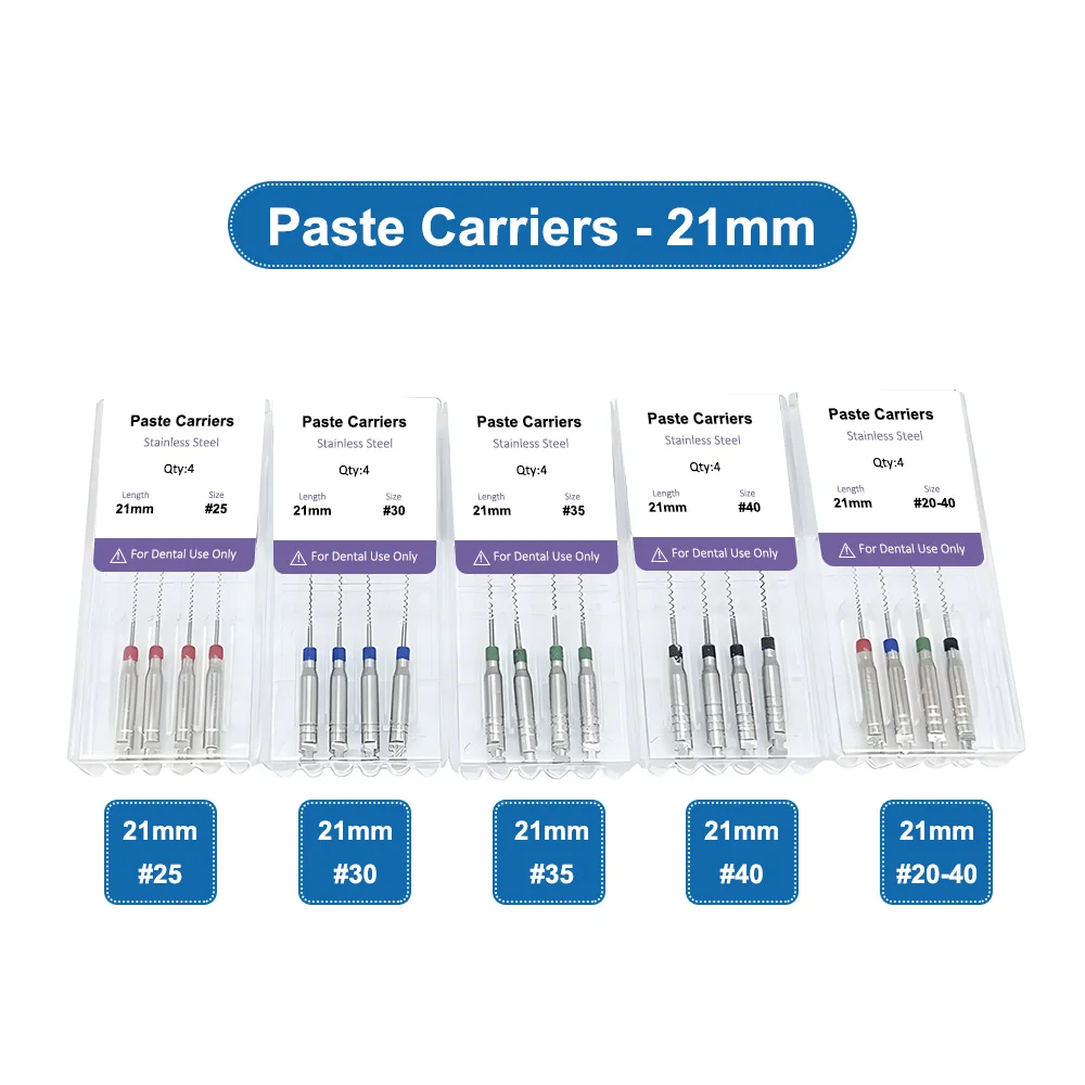 ELIJAH 4 teile/schachtel 21/25mm Dental Lentulo Paste Träger Endodontie Reibahlen Bohrer Burs Endo Dateien Zahnarzt Materialien instrument