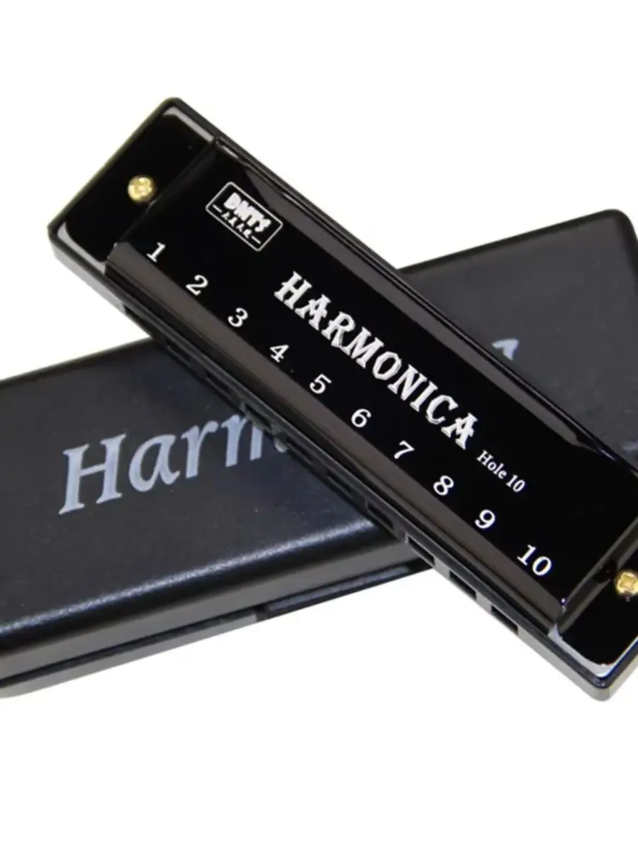 Harmonica Key of C 10 Hole Diatonic Harmonica C with Case for Beginner Students Kids Gift with Case