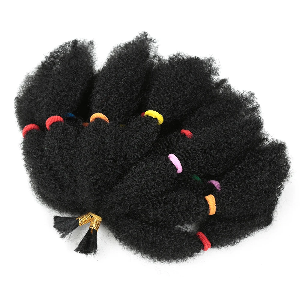 12 Zoll synthetisches Ombre-Flechthaar Afro Kinky Bulk Braids Bug Brown Color Curly Crochet Braids Haarverlängerung