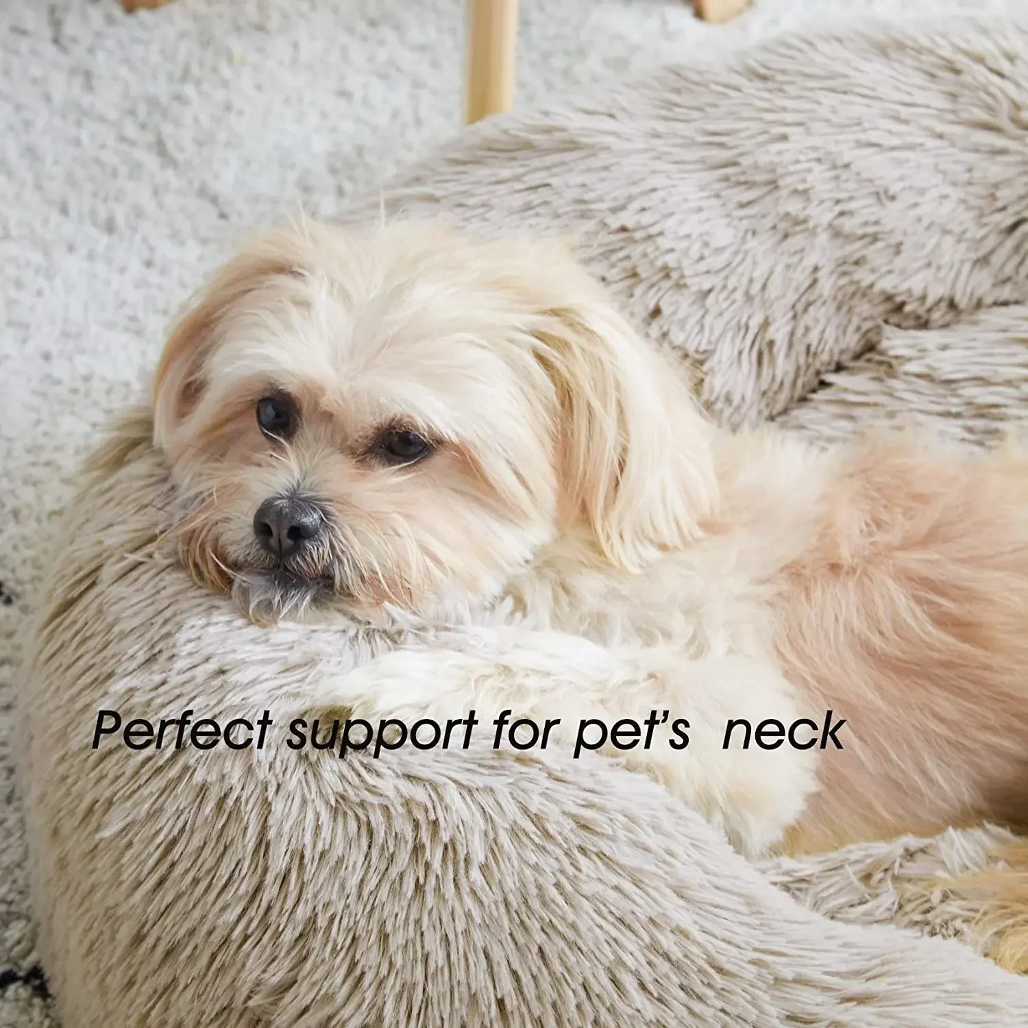 Super Lettino per gatti Caldo per dormire Nido per gatti Morbido peluche lungo Il miglior letto per cani da compagnia Cuscino per cestino Lettino per gatti Tappetino per gatti Animali che dormono