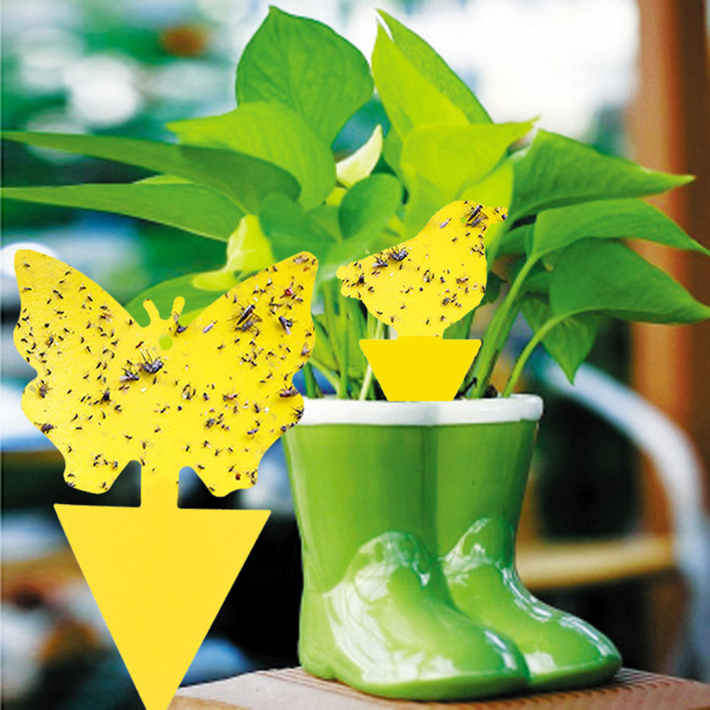 50-10Pcs Sticky Traps Fruit Fly Trap Yellow Sticky Bug Trap for Indoor Outdoor Use Insect Pest Control Garden Strong Glue Plant