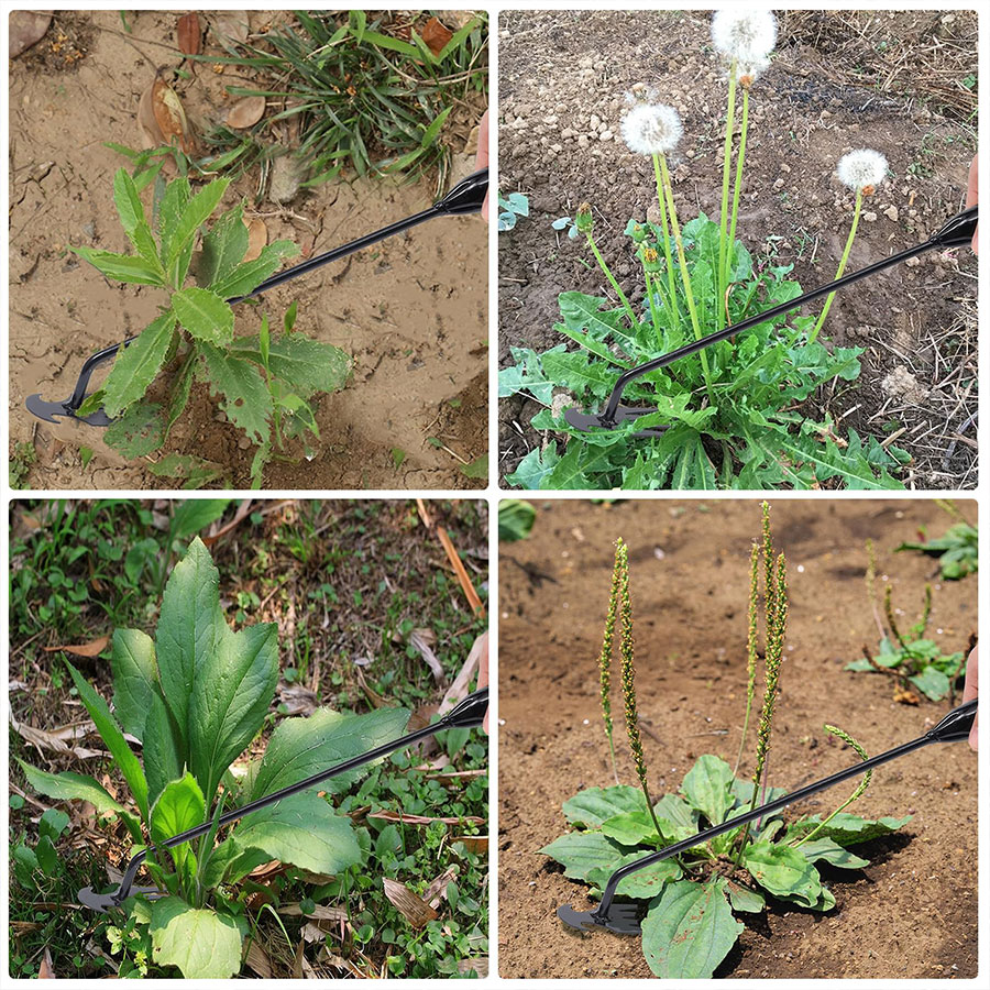 Hada de jardim, suprimentos agrícolas, ferramenta de ervas daninhas, ferramentas de jardinagem, utensílios de mão, herbicida, professor de ervas daninhas, acessórios agrícolas