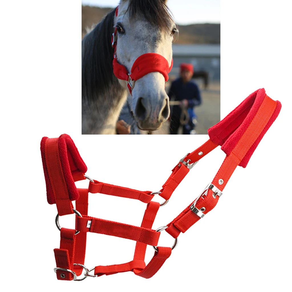 Horse Halter Bridle Rein Detachable Head Collar Strap Stable Protective