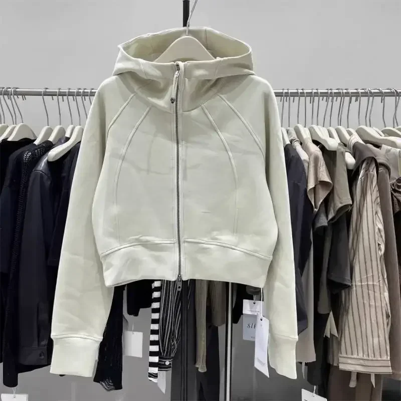 Sudadera con capucha de Color liso para mujer, versión coreana 2000, Chaqueta corta holgada informal versátil con cremallera, chaqueta de manga larga para mujer