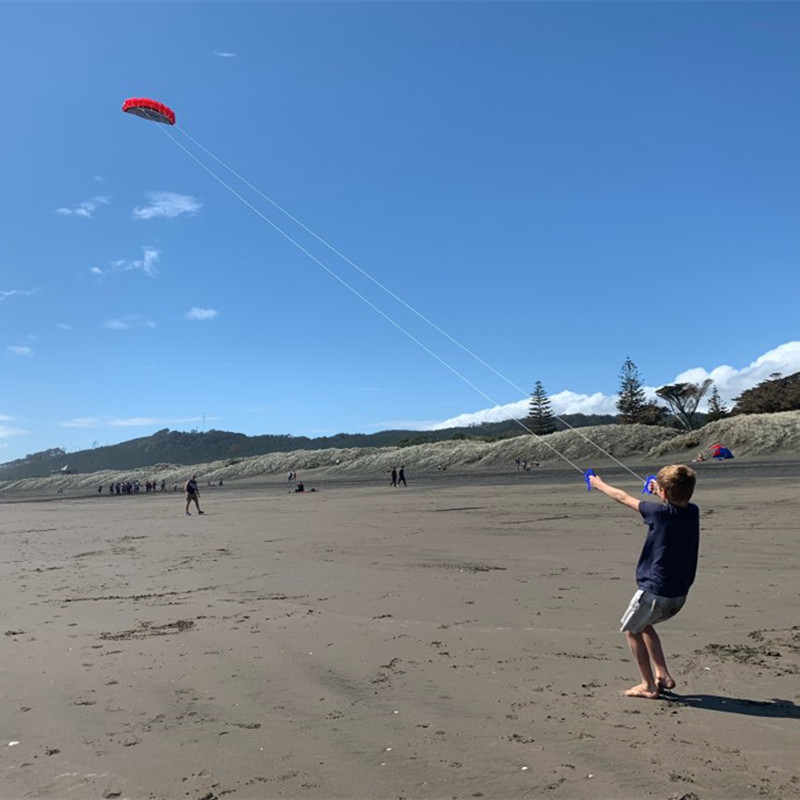 Miễn Phí Vận Chuyển 2.5M Đôi Dây Simili Đóng Thế Điện Diều Mềm Diều Parafoil Kitesurf Bay Ngoài Trời Vui Chơi Thể Thao