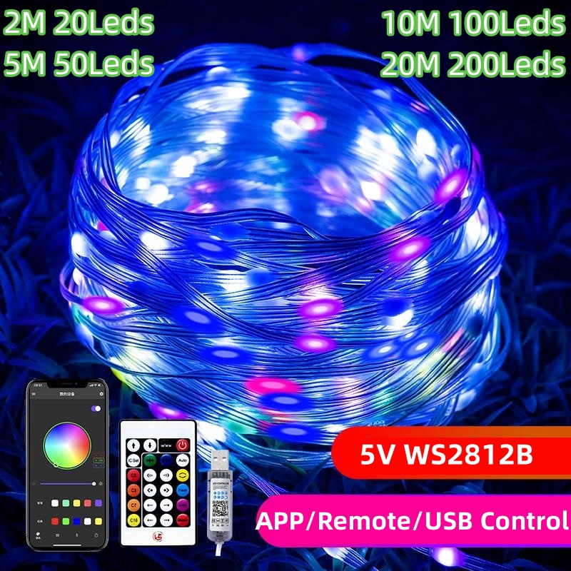 5v usb ws2812 led string app fernbedienung led feen lichter traum farbe rgbic adressierbare party weihnachts lichter hochzeits dekoration ip67