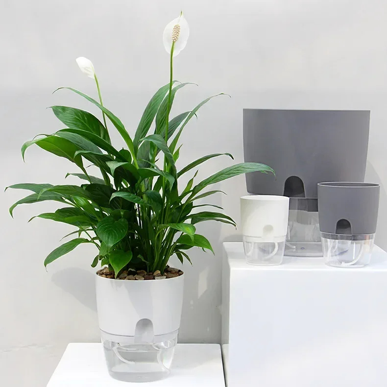 Vaso da fiori in plastica trasparente a doppio strato Vaso da fiori con irrigazione automatica Corda di cotone per irrigazione Piccolo vaso per piante con porta di iniezione