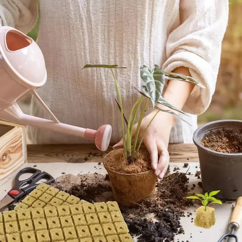 Sponge Block Starter Plugs Rock Wool Grow Cubes Soilless Substrate Seeded Planting Spong Plug Seedling Block Garden Supplies