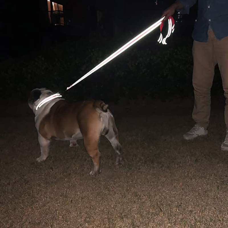 고양이 개 하네스 칼라 리드 스트랩, 야간 반사 개 애완 동물 견인 로프, 1.2 m, 1.5 m, 1.8m 가드 로프, 애완 동물 산책 훈련 가죽 끈