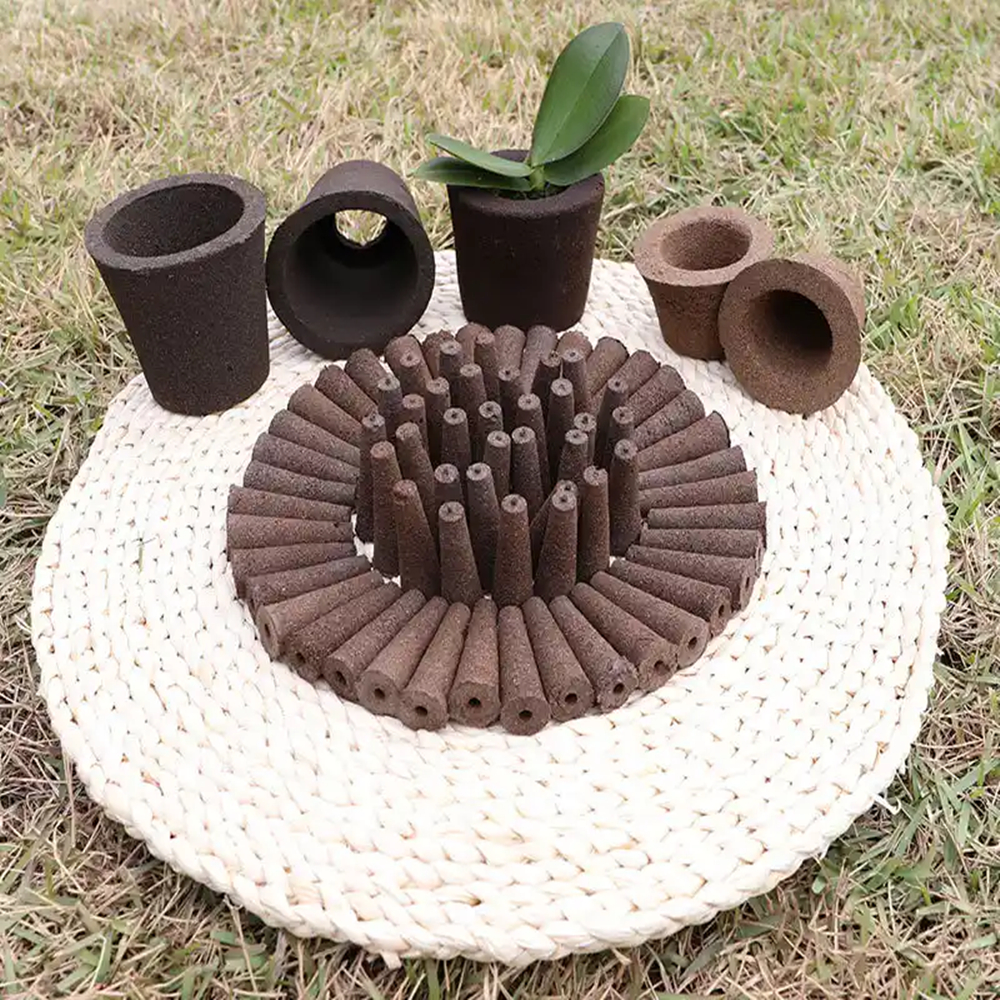 Hippeastrum Vittatum Rapid Rooting Sprouting Amaryllis Flower Bulbs Cultivation Blocks Soilless Nature Plants Bracket 2Pcs