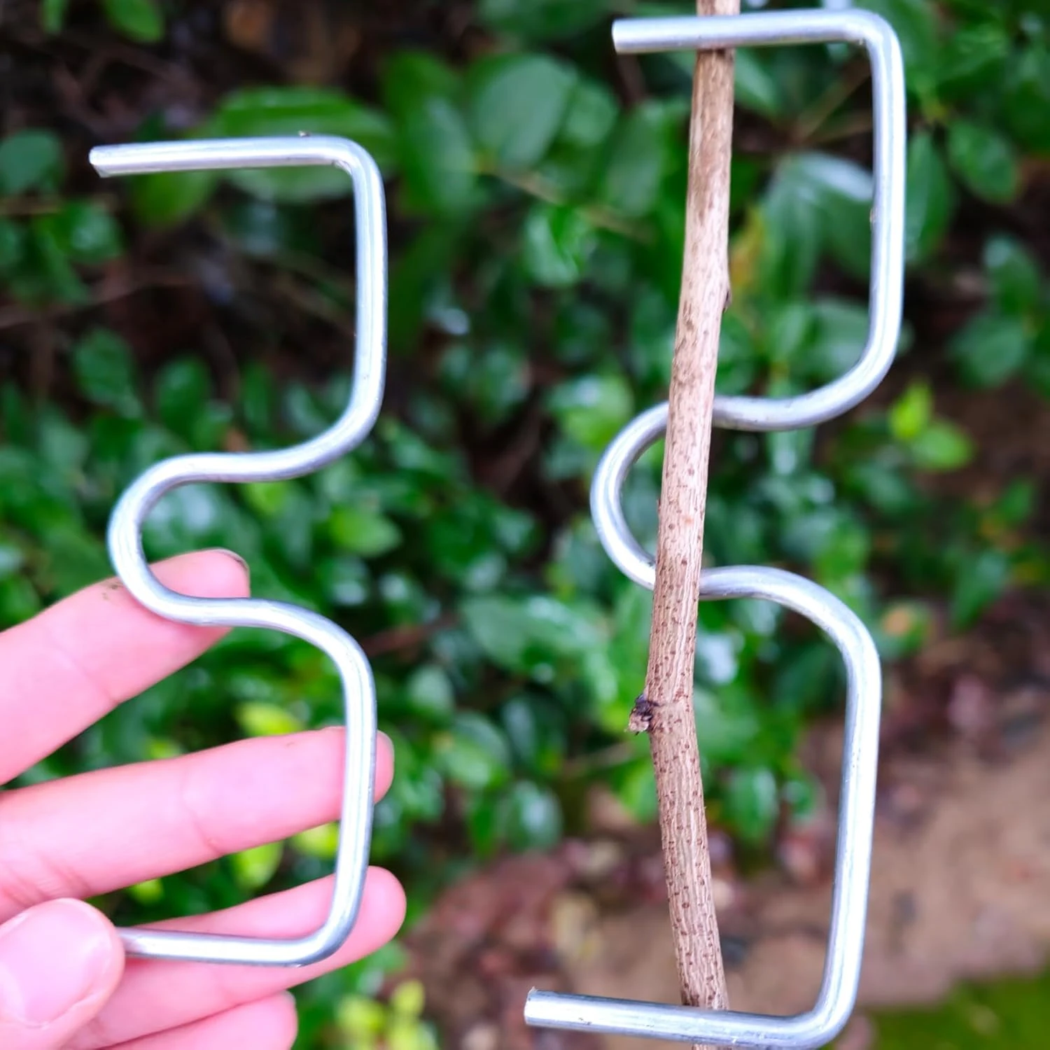 Fruit Tree Branch Shape Fixator Garden Yard Trees Support Holder Plants Vine Trainers M-Shaped Steel Wire Branch Bending Tools