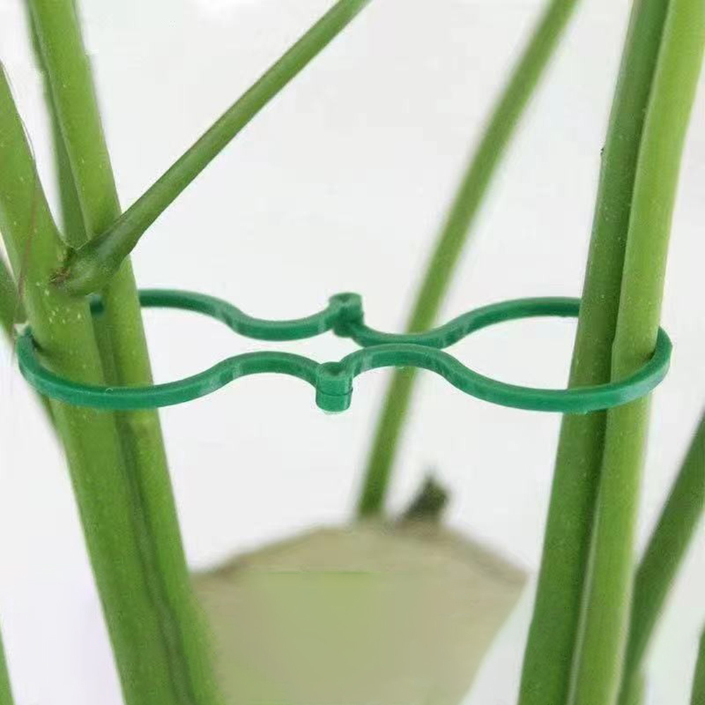 50/100PCS พืชสวน 8 รูป-แปดหัวเข็มขัดโรงงานพลาสติกผูกคงที่สาย Tie Multi-Functional FIXED CLAMP รอกแหวน