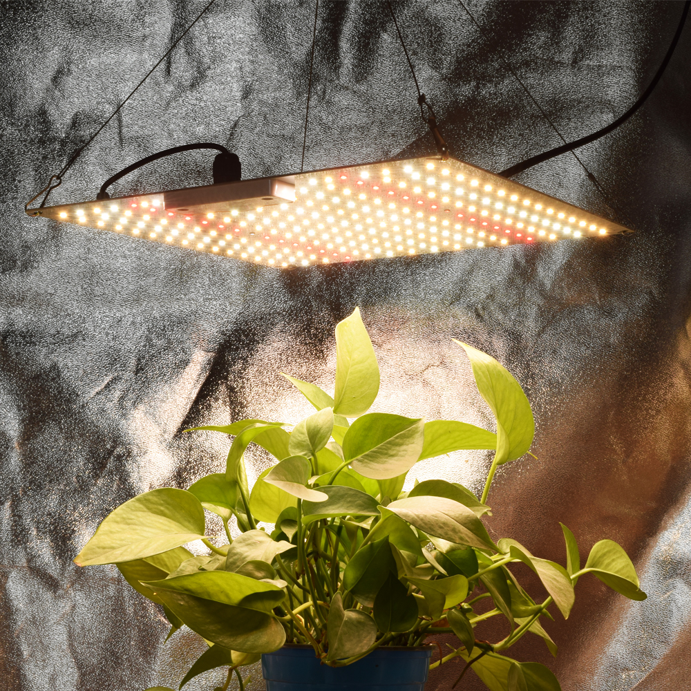 65W espectro completo LED cresce a luz Veg e Bloom Phytolamp Sunlike Growing Lamp para barraca de estufa de plantas internas