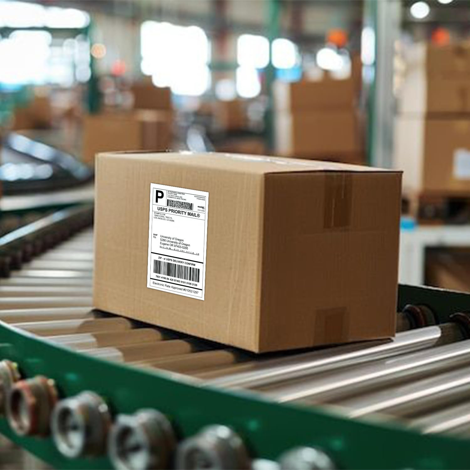 Papel de etiqueta térmica de 4 "x 6" polegadas 100x150mm 100/500 peças para etiquetas de envio térmico dhl ups código de barras expresso para 9220/9210/246s/d200