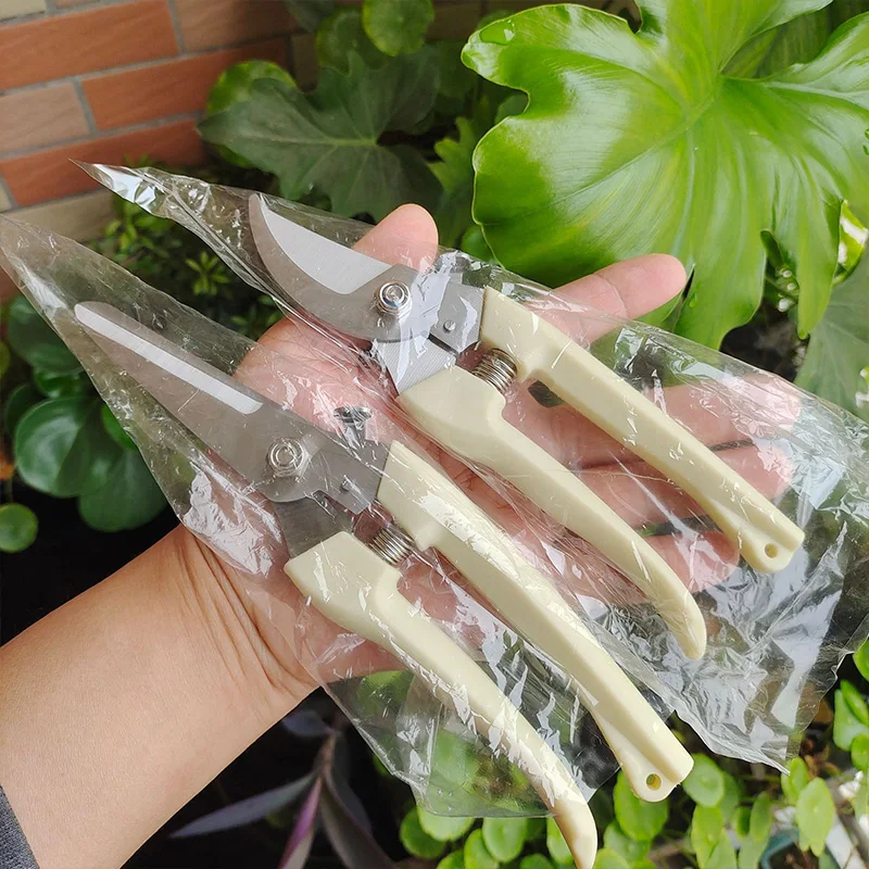 กรรไกรสแตนเลสตัดดอกไม้ตัดแต่งกิ่งผลไม้สวนสาขาตัดในครัวเรือน Grafting สวนกรรไกร