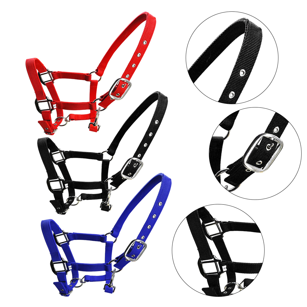 Halter acolchoado pônei bridle cabeça colar ajustável cavalo suprimentos profissional macio acolchoado pônei cavalo halter brida headstall cabeça