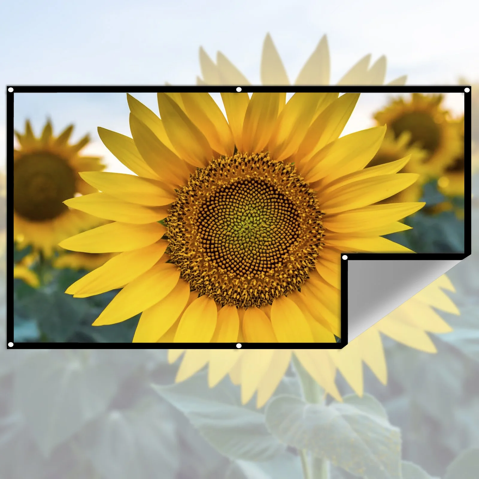 Schermo per proiettore 2025 100-133 pollici metallo grigio anti-luce 16:9 bordo nero portatile con fori schermo per proiezione esterna domestica