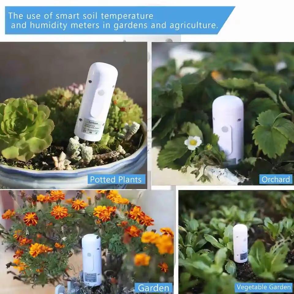 Tuya Zigbee Soil Moisture and Temperature Sensor and Tuya Zigbee Smart Water Valve Controller Sprinkler Drip Irrigation System
