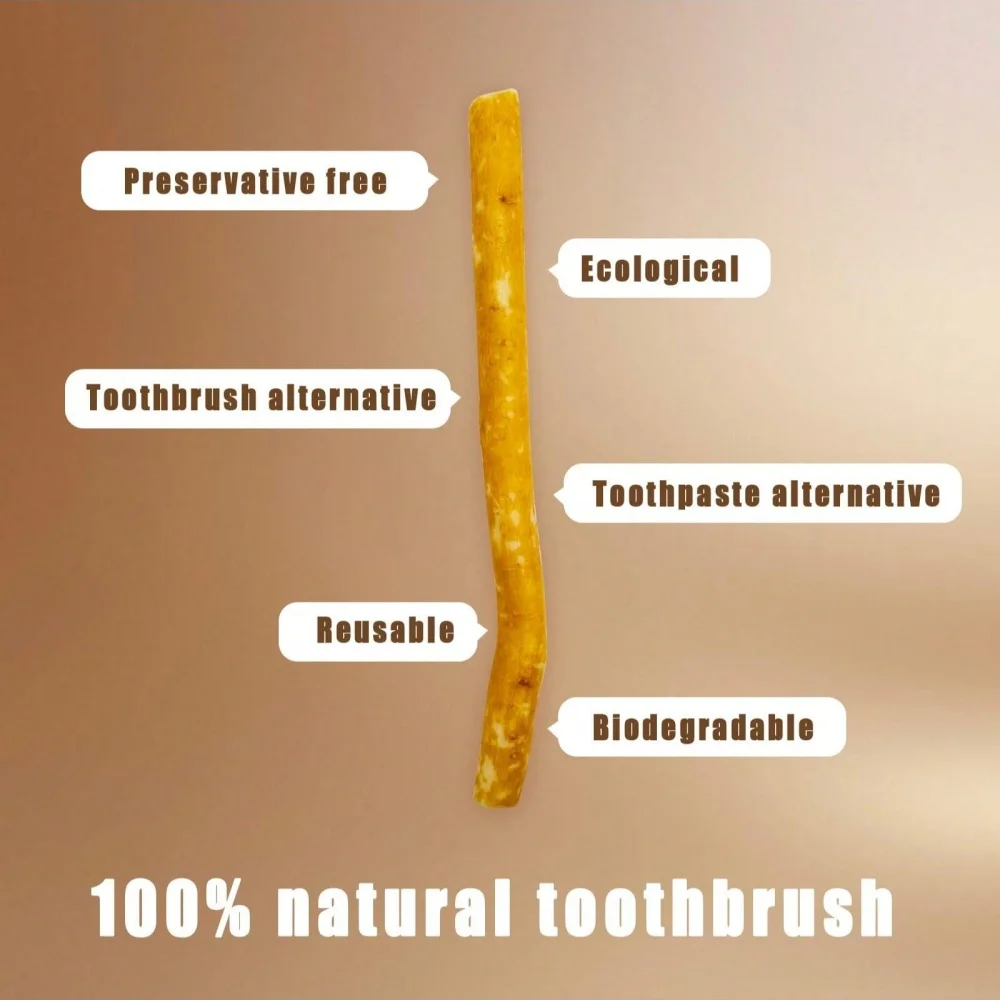 특별 지점 라일락 맛 Miswak 칫솔 진공 밀봉 전통 칫솔 스틱 좋은 잇몸 치아 신선한 호흡 Gi