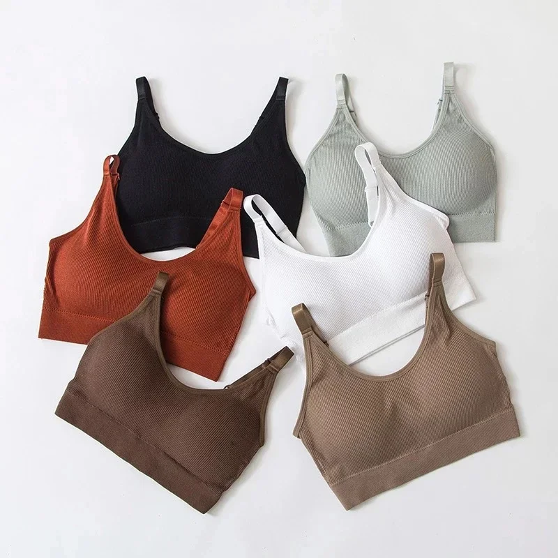 Ropa interior Sexy para mujer, lencería sin anillo de acero, sujetador, Top de tubo envuelto en el pecho, belleza en la espalda, Top de tubo de sección delgada de algodón activo