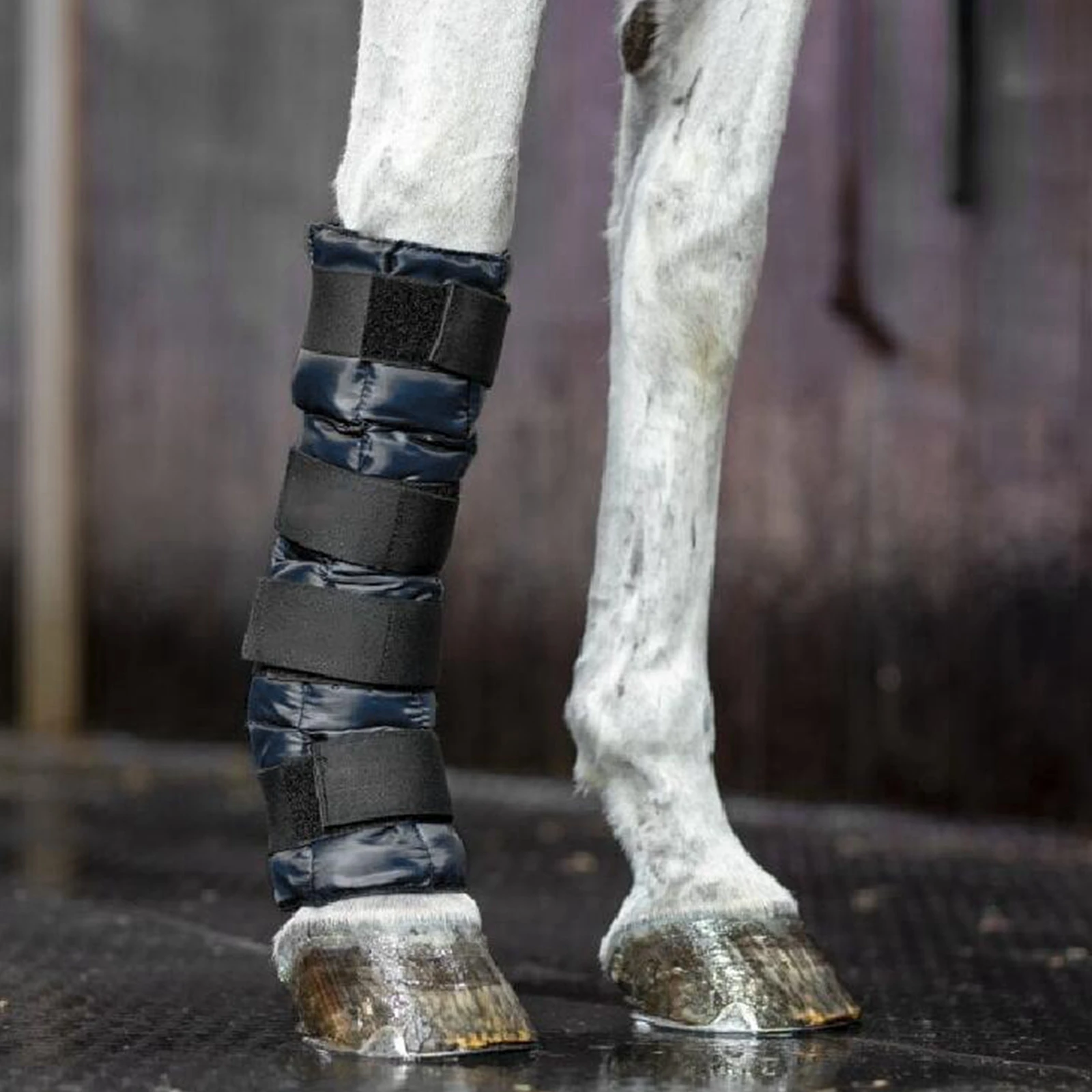 Pferd Bein Kühlung Boot, Pad Sprunggelenk Schiene Boot Wiederverwendbare Compression Pad, Equine Kompression Wraps für Profis