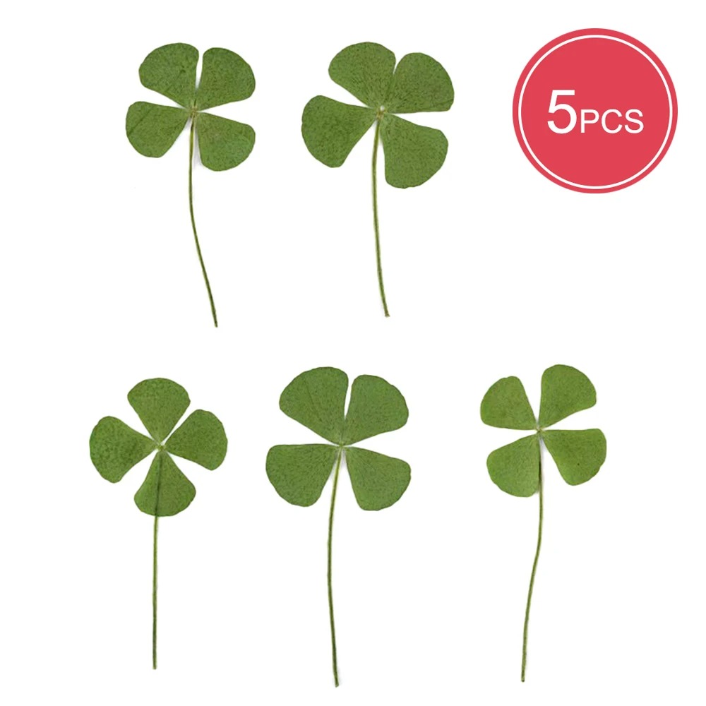 5Pcs Lucky Clover Postcards Transparent Wishing Cards Ideal for Bookmarks & Decorations Perfect Holiday Gifts