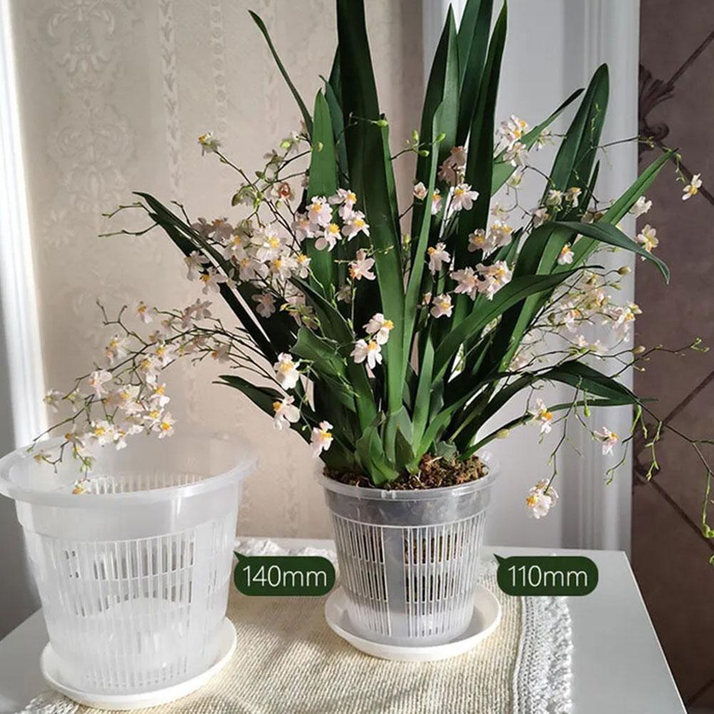 Meshpot macetas de orquídeas de plástico transparente para flores, lavabo transpirable, macetas de orquídeas, Control de raíces, maceta de escritorio transparente