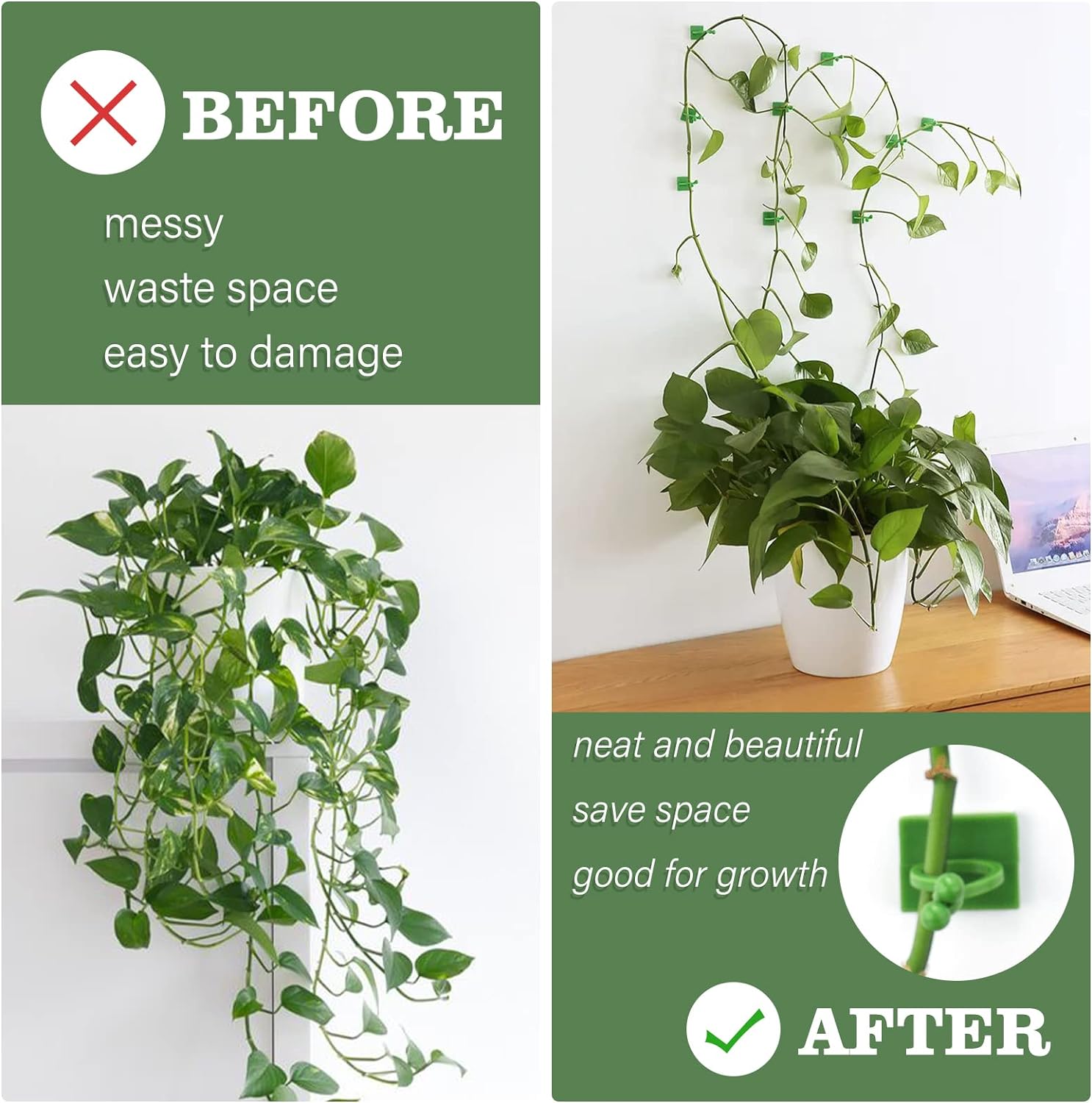 Clips de Fixation Murale pour Plantes en Rotin, Crochet Auto-Adhésif, réinitialisation de Fixation Invisible pour Jardin, 50 Pièces