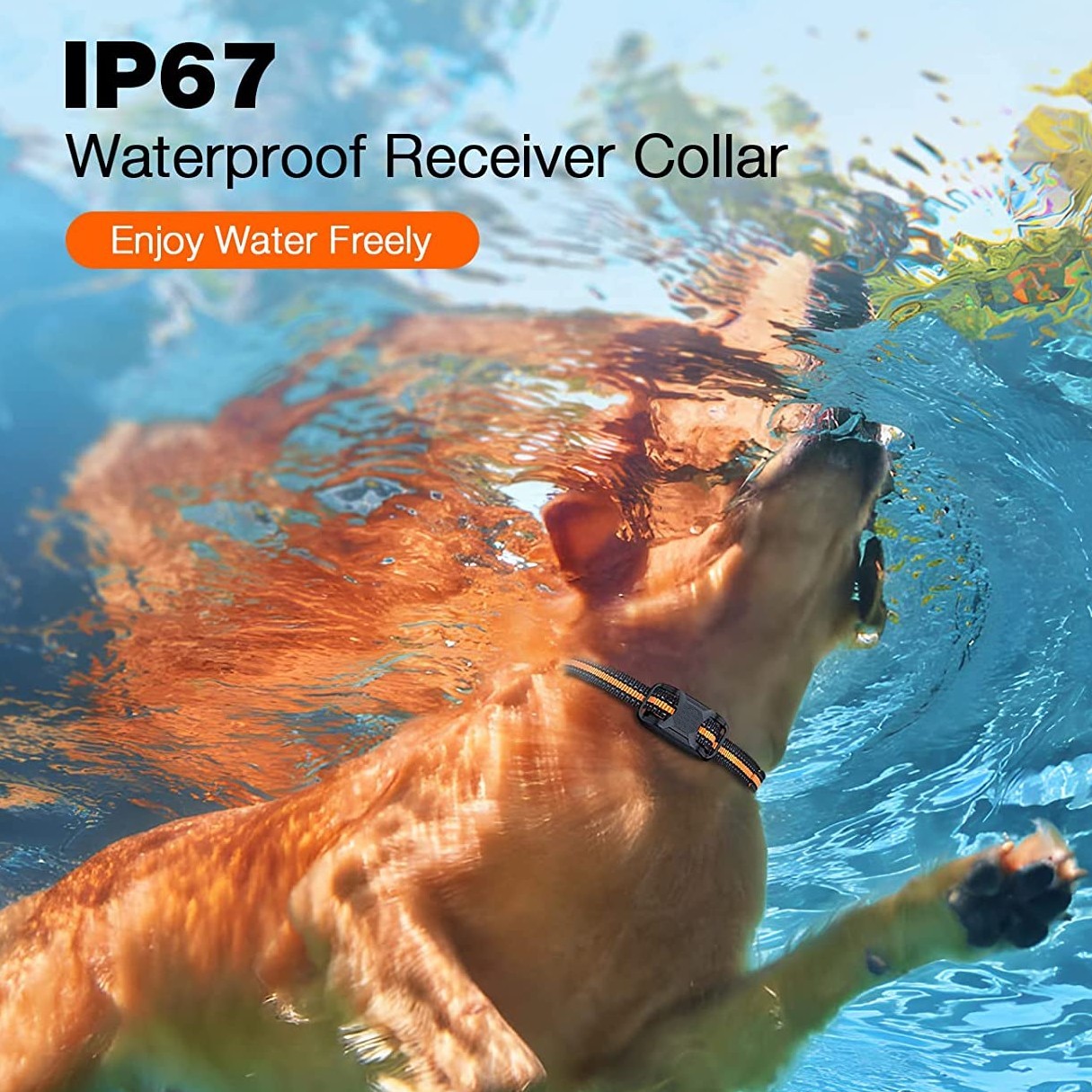 Collar de entrenamiento para perros de 3300 pies con control remoto, recargable, resistente al agua, con pitido, vibración, choque, entrenamiento de mascotas de alta calidad