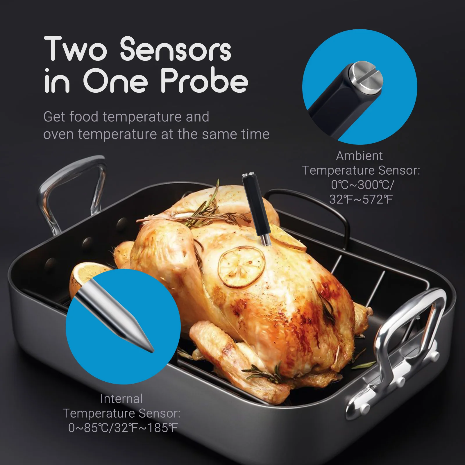 Tempwise IP67 Waterproof Wireless Smart Meat Thermometer with APP Control for BBQ Oven Grill Kitchen Smoker Rotisserie TNT-11-B