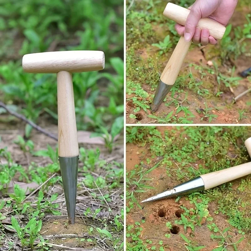 Dibber a mano in acciaio inossidabile con manico in legno per semina di semi, trapianto di piante, piantagione di bulbi