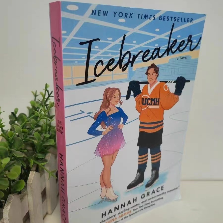 2 Bücher/Set von Hannah Grace Icebreaker und Wildfire Taschenbuch, englisches Romanbuch