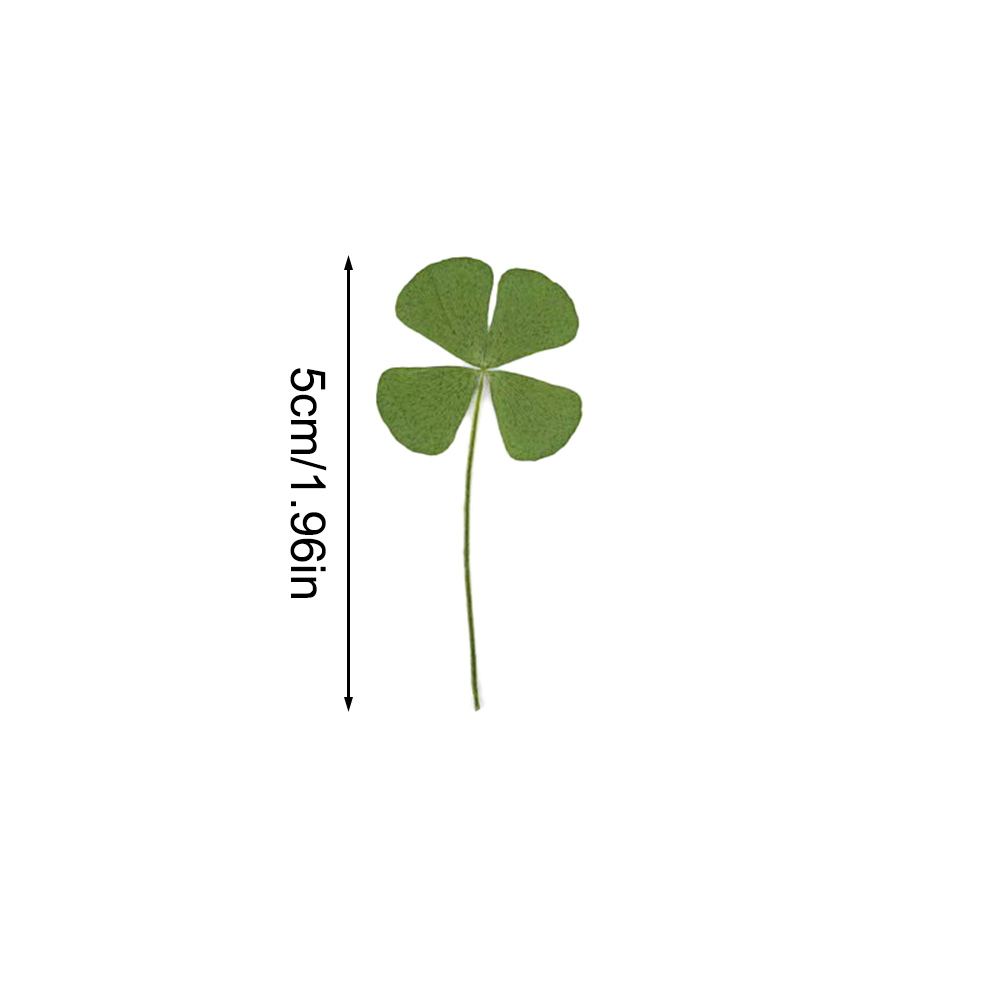 5PCS/10pcs Lucky Four-Leaf Clover Natural Original Grass Transparent Card Bookmark Wishing Simple Style Transparent Card
