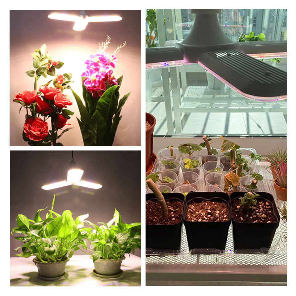 24W 36W 48W faltbares LED-Wachstumslicht Vollspektrum E27 Pflanzenwachstumslicht Phytolamp-Birne für Zimmerpflanzen Blumensämling