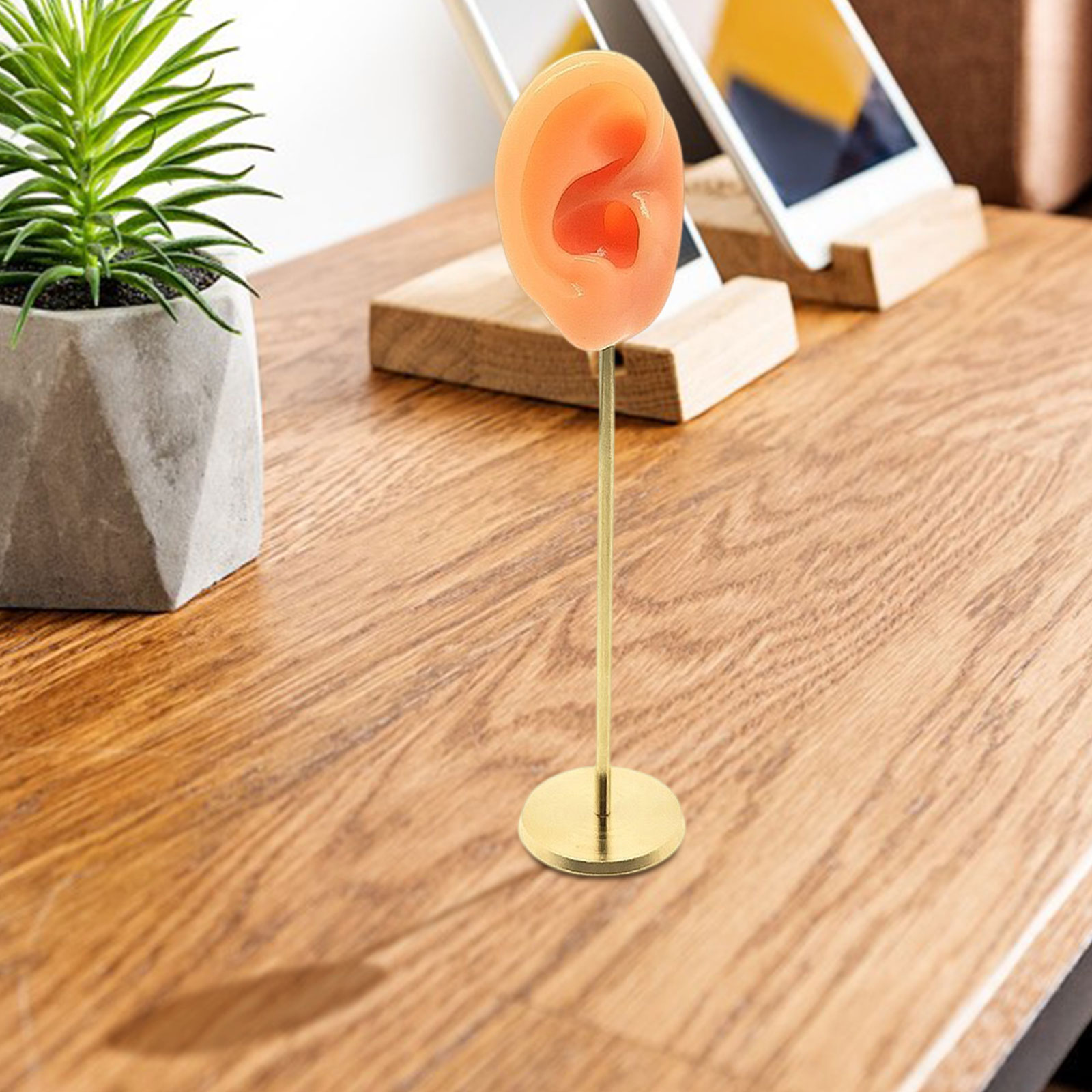 Présentoirs de boucles d'oreilles durables, modèle d'oreille humaine, support de clous, Base ronde en Silicone souple, support de Mannequin d'anniversaire, organisateur de boucles d'oreilles